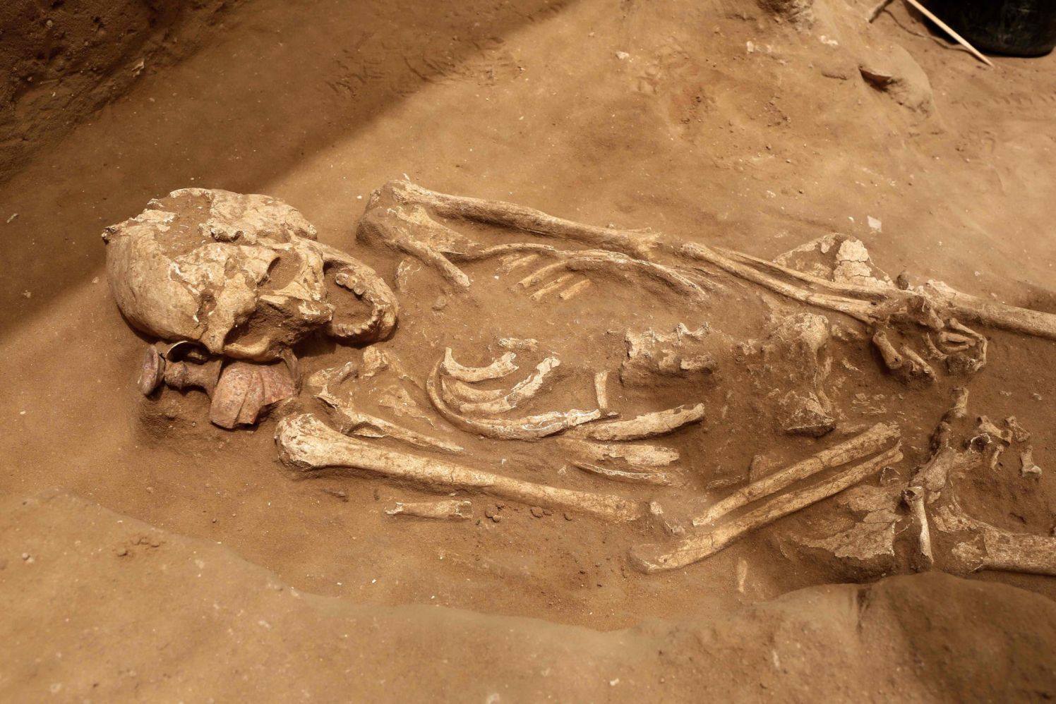 Jewish Bones secretly exhumed