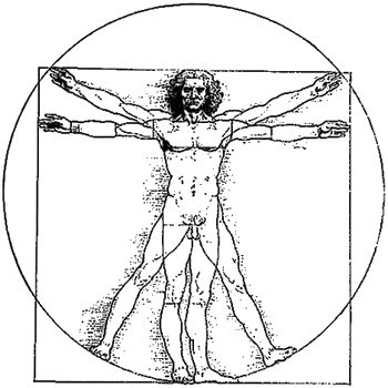 The Drawing of Vitruvian Man